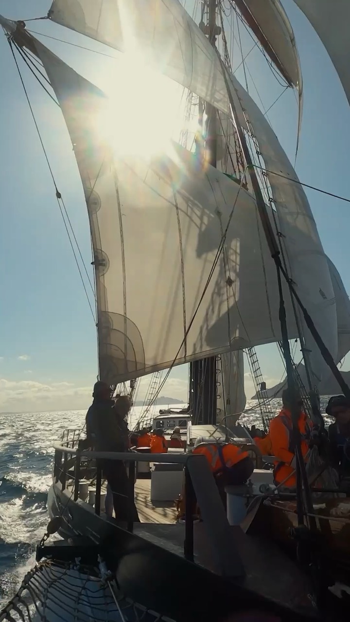 Crew on deck under full sail with the sun breaking through the rigging