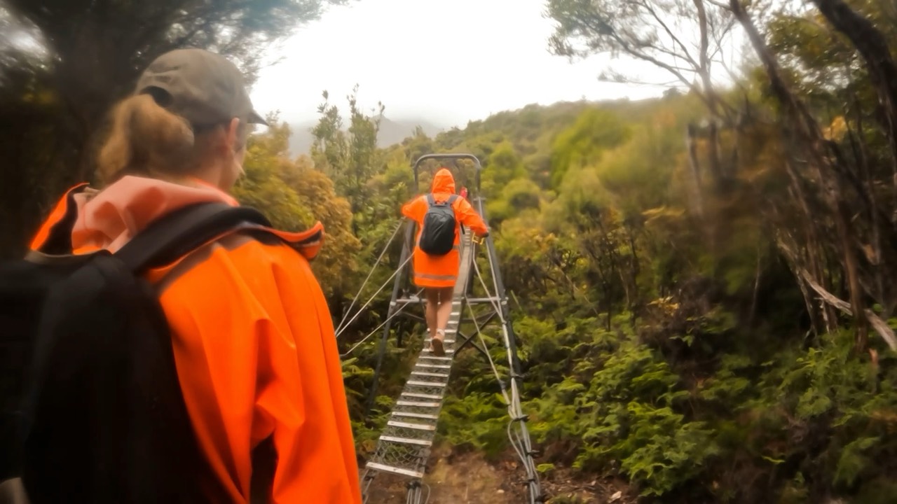 Trainees in orange jackets crossing a narrow swing bridge in the bush